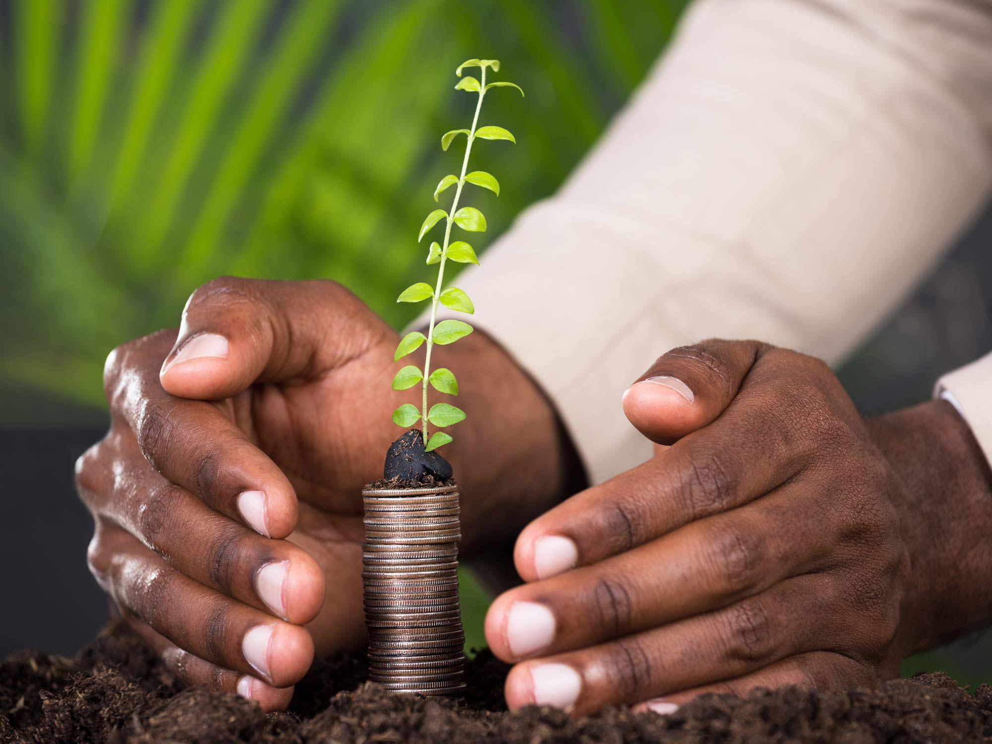 Investor reviewing portfolio growth with an advisor